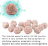 Water Bacteri, Aquarium Bacteria, Water Quality Stabilizer, 1 Pack for Saltwater and Freshwater Aquariums