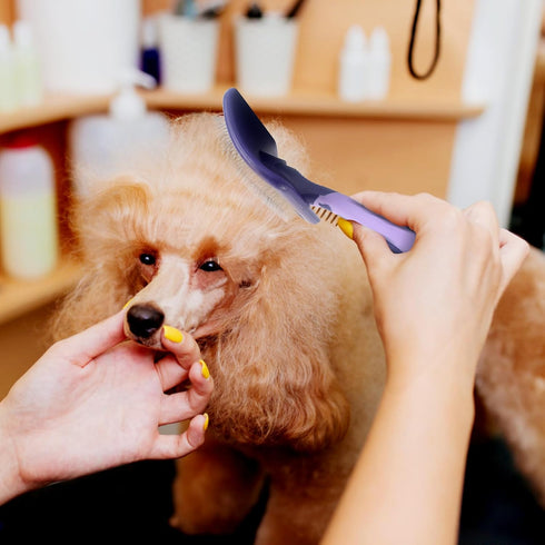 Dog Brush for Poodles - Best Grooming Brush for Dematting and Detangling - Poodles Grooming and Bathing