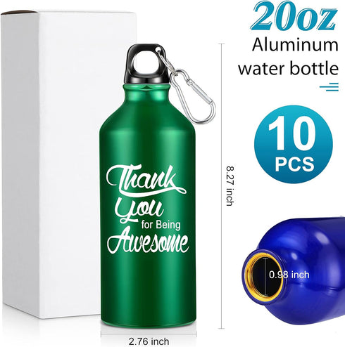 Sieral 10 Pcs Employee Appreciation Gifts - Thank You for Being Awesome Water Bottle 20 oz Aluminum