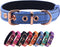 Neoprene Padded Dog Collar, Heavy Duty Nylon for Small Medium Large Dogs, Adjustable Reflective with Metal Buckle
