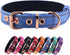 Neoprene Padded Dog Collar, Heavy Duty Nylon for Small Medium Large Dogs, Adjustable Reflective with Metal Buckle