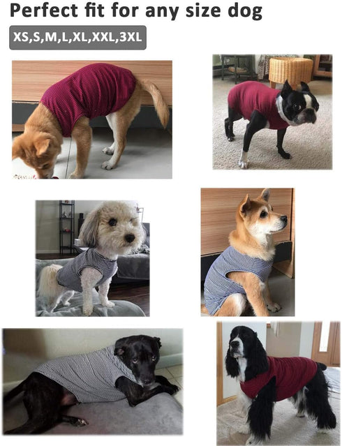 WEONE Dog Summer T-Shirts, Striped Cotton Vest, Breathable Soft Clothes for Small Medium Large Dogs, XS