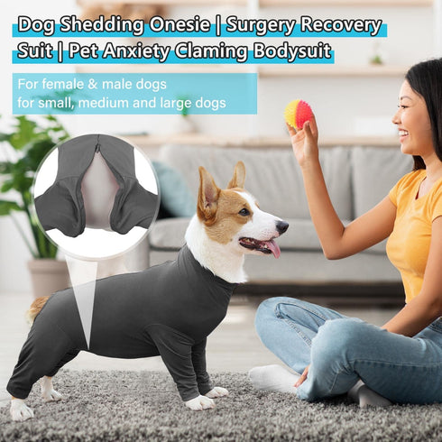 Female Dog Surgery Suit for Spay Recovery, Neuter Onesie for Surgery, Grey/XXX-Large