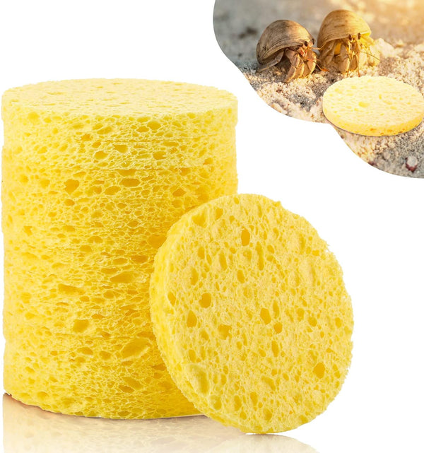 12 Pieces Hermit Crab Sea Sponges - Unbleached Supplies for Maintaining Tank
