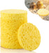 12 Pieces Hermit Crab Sea Sponges - Unbleached Supplies for Maintaining Tank