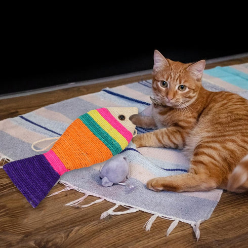 Cat Scratching Board - Creative Fish Shaped Claw Toy, Colorful Sisal Pad Scratch Lounge Durable Interaction Toy