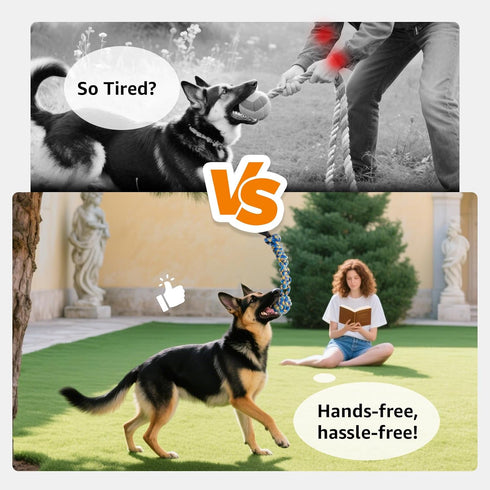 LOOBANI Outdoor Bungee Tug Toy, Dog Toy Hanging from Tree for Small to Large Dogs, Interactive Exercise Play Cord