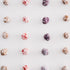Small Breed Dog Treats - Very Berry, 3oz, Soft & Chewy, Antioxidant Rich, Training & Little Rewards