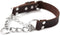 Mighty Paw Martingale Dog Collar - No Pull Design, Stainless Steel Chain, Brown Leather Martingale Training Collar