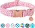 Daisy Summer Cotton Dog Collar with Metal Buckle, Pink Gift Collar for Small Medium Large Dogs, Cute Durable Comfortable