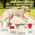 CZMIYRPY 3 Pack Washable Dog Diapers Female with Suspenders Diaper for Dogs Reusable Dog Diapers Dog Period Panties