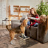 FurFlasher Trimming Dog Nail Scratch Pad with Sandpaper Filing Replacement Sandpapers Included and Non-Slip Pad