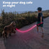 LED Dog Leash, Light Up 4 Feet Micro USB Rechargeable Nylon Webbing Glow Safety Standard Leash, Pink