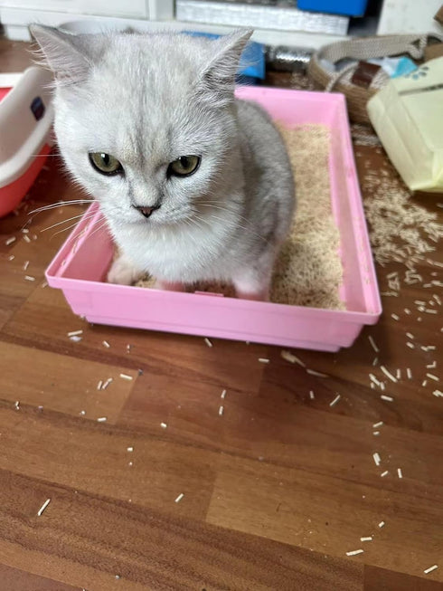 Original Tofu Cat Litter - Bean Fragrance, Odor Control, Unscented Ultra Absorbent, Dust-Free, Quick Clumping, Water