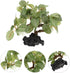 BESTOYARD Fish Tank Landscaping Plants, Aquarium Decorations, Reptile Tank Silk Tree, Plastic Fish Bowl Decor