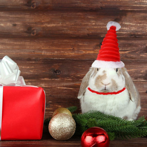 2 Pieces Guinea Christmas Hat - Adjustable Elastic Band Santa Claus Cap for Small Animal Christmas Party Decor