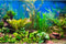 AWERT 60x24 inches Aquatic Plant River Bed & Lake Aquarium Background Vinyl