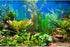 AWERT 30x18 inches Aquatic Plant River Bed & Lake Aquarium Background Vinyl for Fish Tank