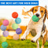 50 2.5'' Liliful Pieces Dog Squeaky Tennis Balls for Pet Playing Medium Large Dogs Puppy Balls for Training Toy