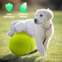 Giant 9.5" Dog Tennis Ball, 2 Pack Oversize Interactive Puzzle Toy with 1*Ball Pump + 1*Needle for Small, Medium, Large