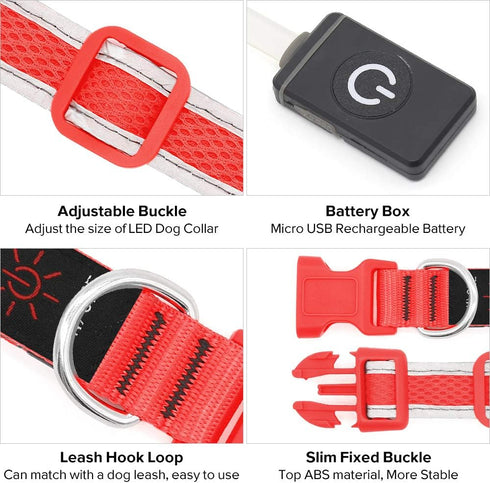 LED Dog Collar, USB Rechargeable Light Up Safety Collar for Small, Medium, Large Dogs (Large, Ruby Red)