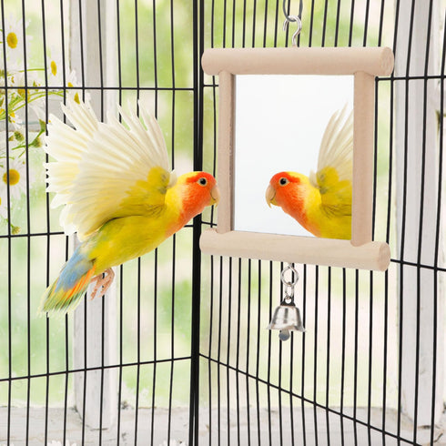 Hypeety Pet Bird Mirror with Bell Interactive Toy for Parrots, Macaws, African Greys, Budgies, Cockatoos, Parakeets,