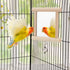 Hypeety Pet Bird Mirror with Bell Interactive Toy for Parrots, Macaws, African Greys, Budgies, Cockatoos, Parakeets,