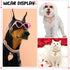 Hillban Rose Gold-Plated Diamond Dog Chain Collar with Heart Rhinestones, Personalized Name Tag for Small, Medium, and