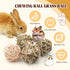 Bac-kitchen 17 Chinchillas (2.4") Pcs Bunny Chew Grass Balls, Hangable Natural Handmade Enrichment Toys for Teeth