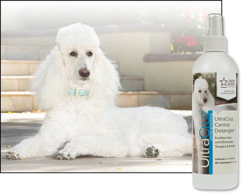 UltraCruz Canine Detangler Spray for Dogs, 16 oz - sc-395321