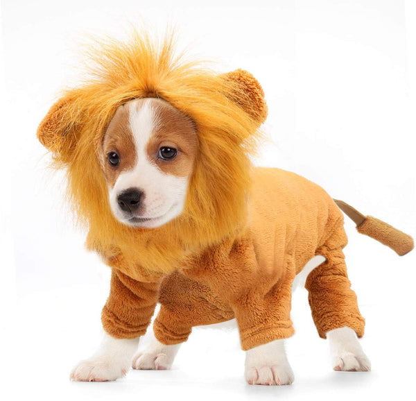 Rypet Dog Lion Costume | Pet Clothes for Halloween Party, Simulation Lion Hoodie for Cats and Dogs
