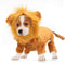 Rypet Dog Lion Costume | Pet Clothes for Halloween Party, Simulation Lion Hoodie for Cats and Dogs