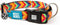 Max & Molly Smart ID Dog Collar with Gotcha! QR Safety Tag, Soft Padded Neoprene, Medium (13-21")