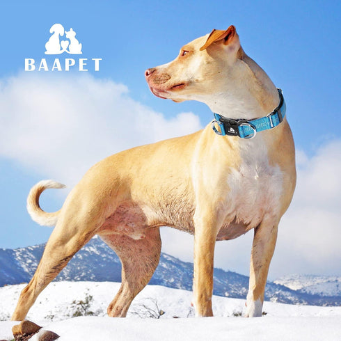 BAAPET Comfortable Dog Collar with Double Security Dual D-Ring and ID Tag Hanger for Small, Medium, Large Dogs (XS -