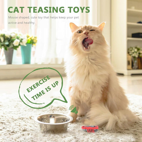 2 Pack Electric Robot Beetle Cat Toy, Interactive Mini Cat Toy Excites & Entices Cats Cuddling Chasing Fun Realistic