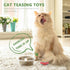 2 Pack Electric Robot Beetle Cat Toy, Interactive Mini Cat Toy Excites & Entices Cats Cuddling Chasing Fun Realistic