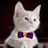 Halloween Dog Bow Ties, 10Pcs Adjustable Neckties for Small Medium Dogs, Pumpkin Skull Ghost Witch Pet Grooming