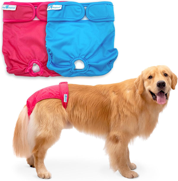 Paw Inspired Washable Reusable Dog Diapers Female, Cloth Dog Diapers, Dogs in