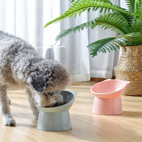 Tilted Elevated Cat Food Bowl, Whisker Friendly Anti Vomiting Slanted Feeding Bowls (Tall Cat Bowl-Pink)