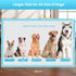 Extra Large Puppy Pee Pads for Dogs 31"x47" 40 Count, Leak-Proof & Super Absorbent Disposable Training Pads