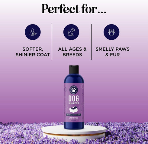 Soothing Oatmeal Shampoo for Dogs - Cleansing and Moisturizing Aloe & Oatmeal Dog Shampoo (Lavender Vanilla)