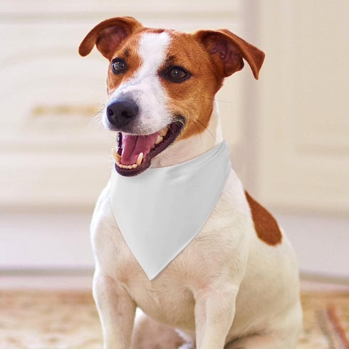 Personalized Dog Bandana with Name Custom Neckwear Dog Scarf Triangle Bibs Kerchief Pet Costume Accessories for Small