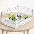 Reptile Artificial Plants, Terrarium Decorations Supplies, Aquarium Fish Tank Plant, Amphibian Habitat Accessories (M