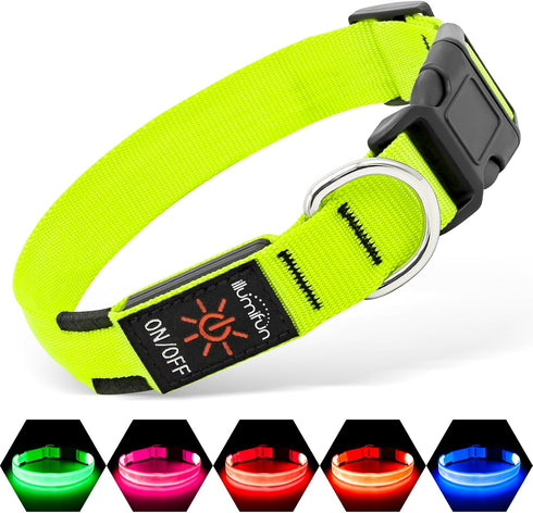 Illumifun Light Up Dog Collar - USB Rechargeable LED Glow in The Dark, Adjustable Pet Safety Lights, Green