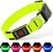 Illumifun Light Up Dog Collar - USB Rechargeable LED Glow in The Dark, Adjustable Pet Safety Lights, Green