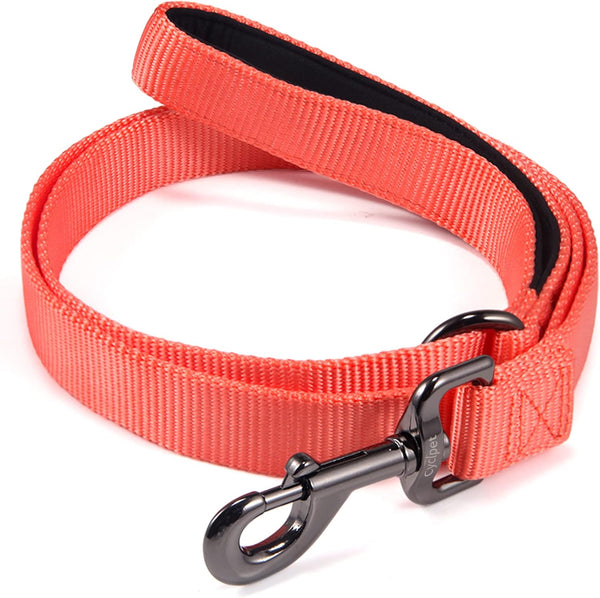 4 Feet Dog Leash with Padded Handle | Sturdy Nylon Leads for Small Medium Large Dogs Walking, Training, Hiking (Living