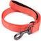 4 Feet Dog Leash with Padded Handle | Sturdy Nylon Leads for Small Medium Large Dogs Walking, Training, Hiking (Living