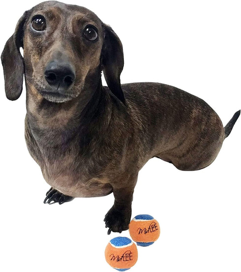 Midlee Mini Tennis Ball for Dogs - Pack of 12 (1.5", Orange/Blue)