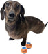 Midlee Mini Tennis Ball for Dogs - Pack of 12 (1.5", Orange/Blue)