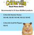 MidWest Homes for Pets Small Animal Water Bottle - Ideal for Hamsters, Mice, Guinea Pigs & Rabbits